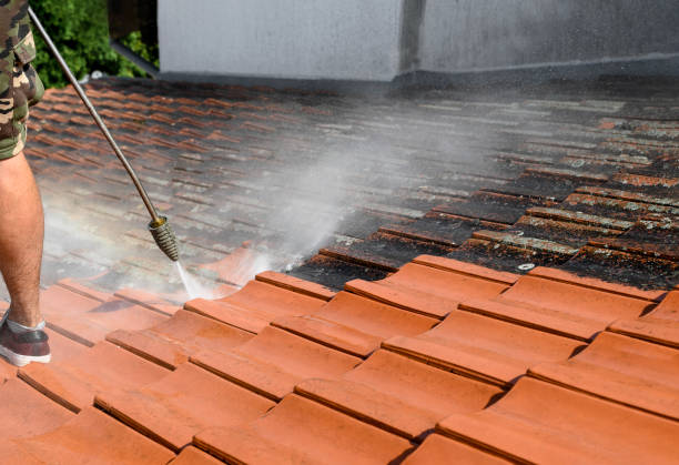 Best Affordable Power Washing  in Rockville, MD